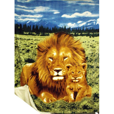 Ultrasoft Sherpa Blanket Throw