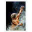 Tiger Jump 1 Print by Mat Sanders