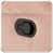 Rose est en rupture de stock