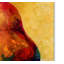'Pear VII' Print on Wrapped Canvas-22073013