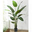 Faux arbre banane en pot 83 po