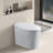 Smart Toilet