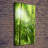 The Rainforest - Wrapped Canvas Print