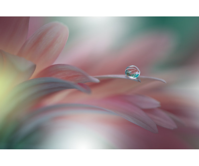 Wrapped Canvas Print, 50.8 cm H x 76.2 cm W