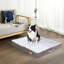 Orthopedic Dog Bed-61196615