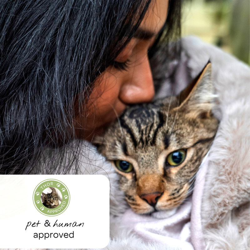Jeté pour animaux Pixie, gris, Gris