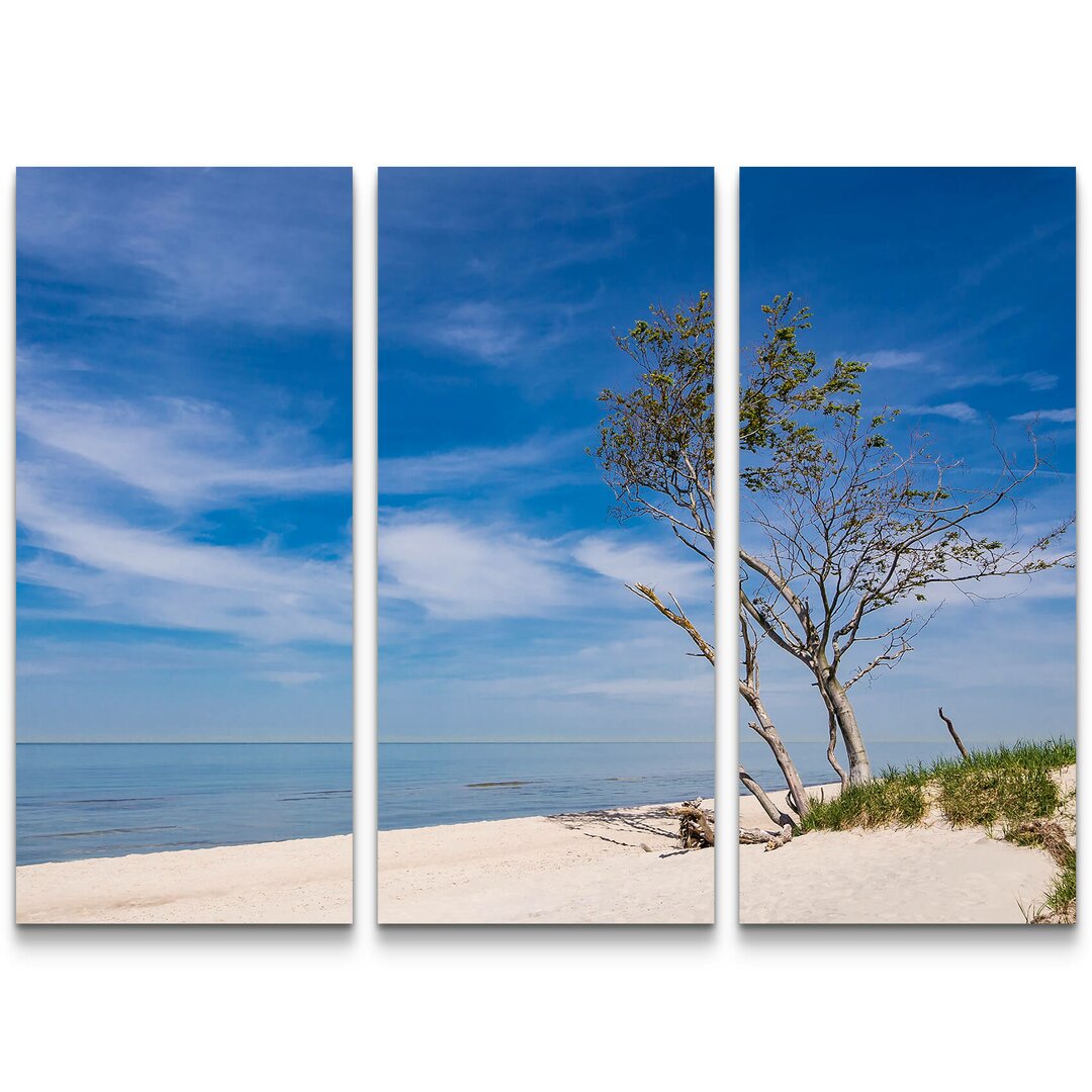 3-tlg. Leinwandbilder-Set Baum am Strand - Ostsee