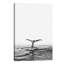 « baleinee », impression-43719275-43719265