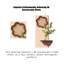 Art mural crémeux floral en grès avec tablette flottante - Décoration hydroponique de vestibule-509655218