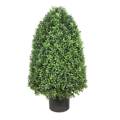 ROUNDED CONE BOXWOOD