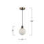 Luminaire suspendu 1 lumière Rickey - Noir - Laiton brossé - Verre-898471061