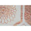Wool Geometric Area Rug in Ivory-70392996