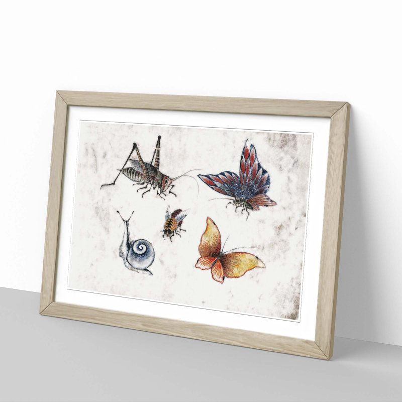 Insects Vol.1 by Katsushika Hokusai - Framed Print, 27cm H x 36cm W x 2cm D, Oak Framed