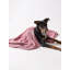 Tapis pour animaux Bangor Rose Paw-1148924690