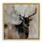 Mirage rustique de wapiti-1786083908-1786083914