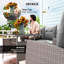 Rattan Sofa Set