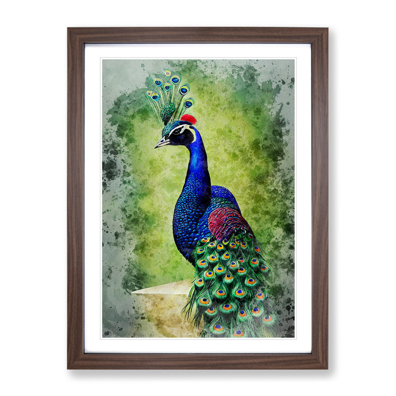 Peacock No.1 - Framed Print, 64cm H x 46cm W x 2cm D, Walnut