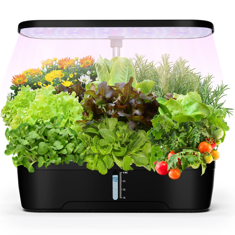 Black Indoor Hydroponic Garden System with LED Grow Light