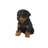 Sitting Rottweiler Puppy Statue