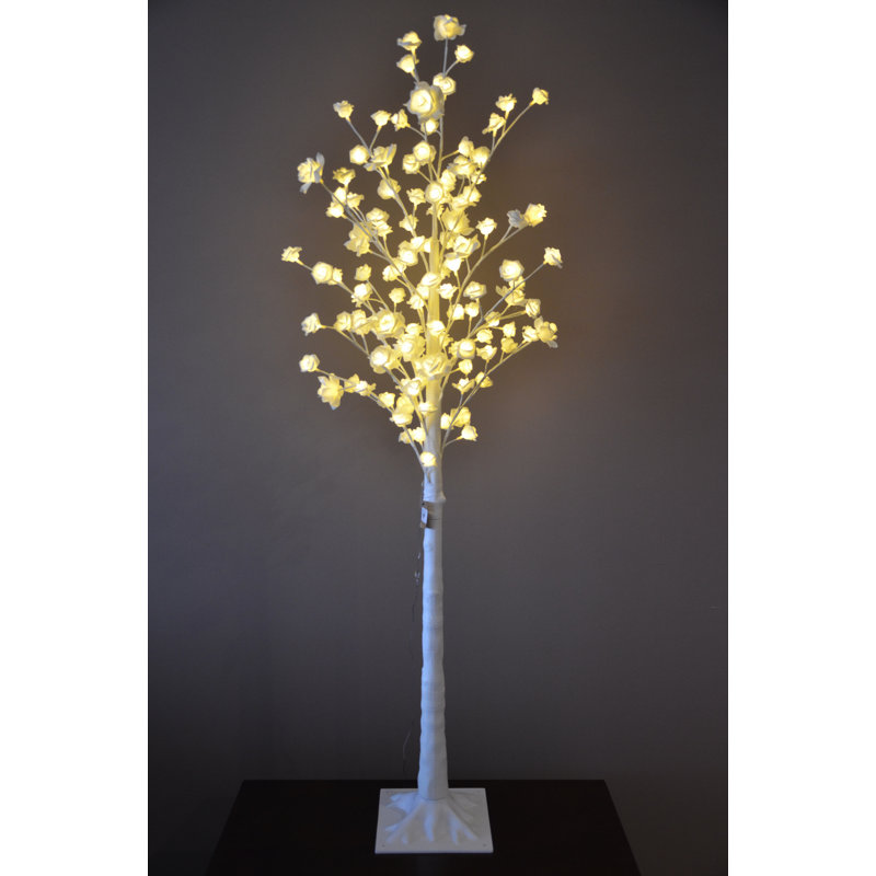 Arbre illuminé avec lumière blanche pré-éclairée
