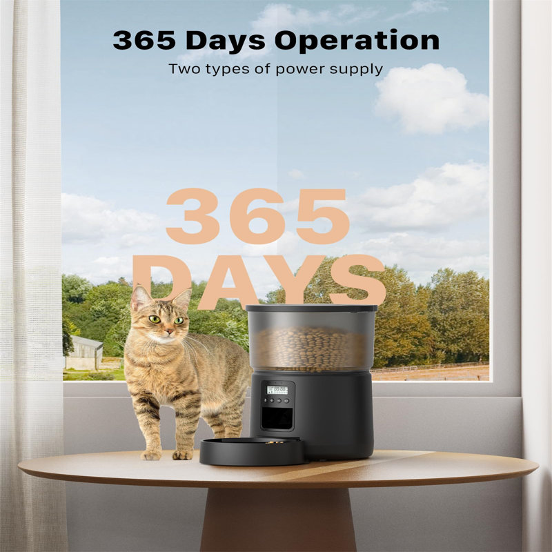 Automatic Feeder