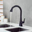 Robinet de cuisine à poignée simple Contemporary-47444966