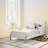 Teddy Bear Toddler Bed-97649472