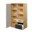 Aanvi Kids 2 - Drawer Combo Dresser