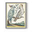 «Pastel Birds I», reproduction encadrée - bois massif-402457457-402457460