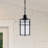 Shawonda Outdoor Pendant