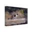 « dog on a log » par winslow homer, impression sur toile tendue-1241674562