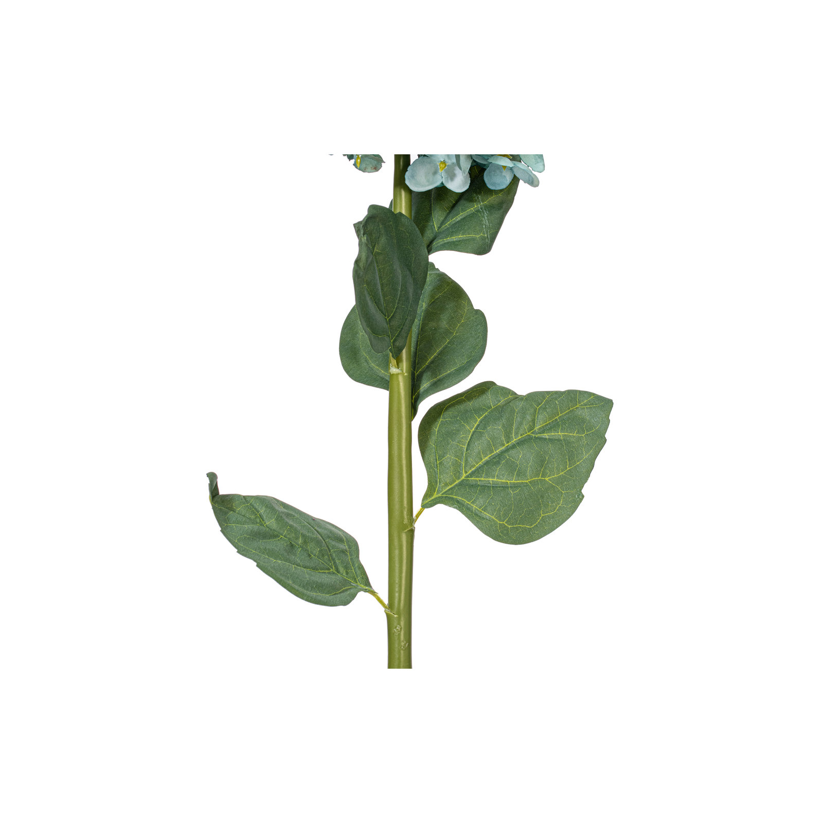 Hydrangea Stem, Blue