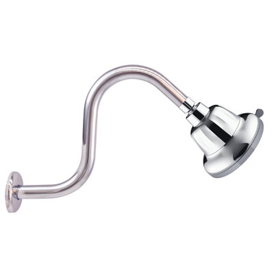 Pomme de douche à jet réglable 5 fonctions 5 po avec bras de douche en forme de S 5 po