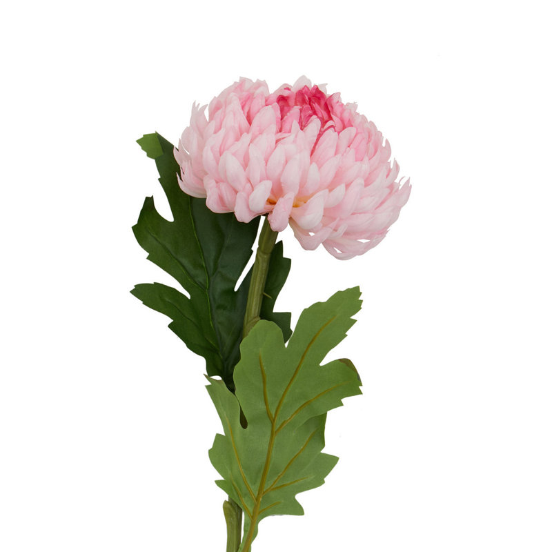 Fiori Chrysanthemum Arrangement