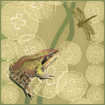 «Frog Fable I» par Vision Studio - impression sur toile tendue