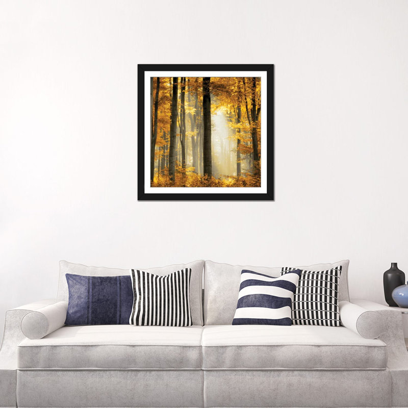 «Sunlit Forest II», impression sur toile, Papier d'art encadré noir, Blanc, H 24 po x l 24 po x P 1 po