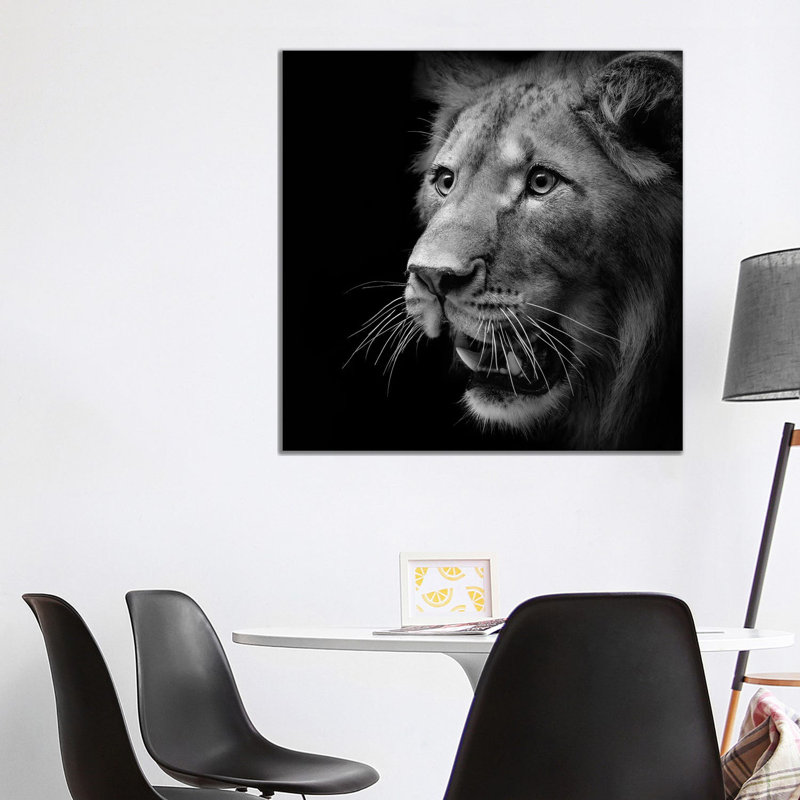 Lion In Black And White III by Lukas Holas - Wrapped Canvas Print, 93.98 cm H x 93.98 cm W