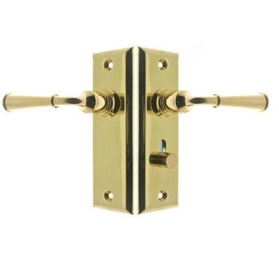Solid Brass Rectangular Escutcheon Storm Door Latch