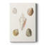 Pastel Knorr Shells - Pasta-700627074
