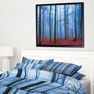 " Foggy Forest "