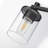 4-Light Vanity Lightswith Clear Glass Shade