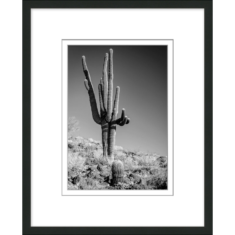 «Black & White Cactus 2» par Christopher Kennedy - photographie encadrée sur papier