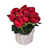 Rouge n'est pas disponible