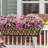 2 Pack Window Boxes Planters Railing Planter Box with Adjustable Brackets, for Porch Fence Patio Balcony with Coco Liners - Black