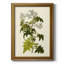 Toile encadrée de qualité supérieure Olive Greenery VI - prête à être accrochée-1407422566