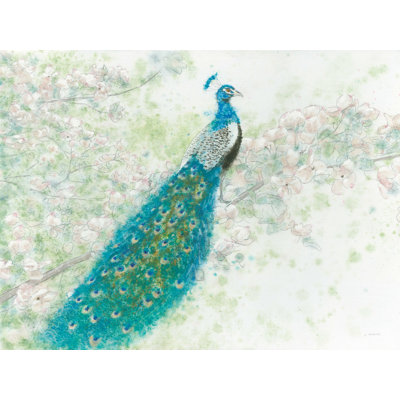 " Spring Peacock I " by James Wiens