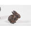 Lapin de lapin en fonte Tignall