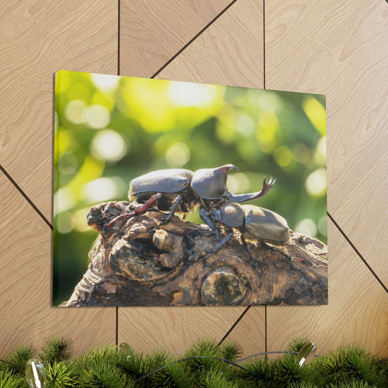 «Beetle Couple Beetle Troop», reproduction d'art mural, H 11 po x l 14 po