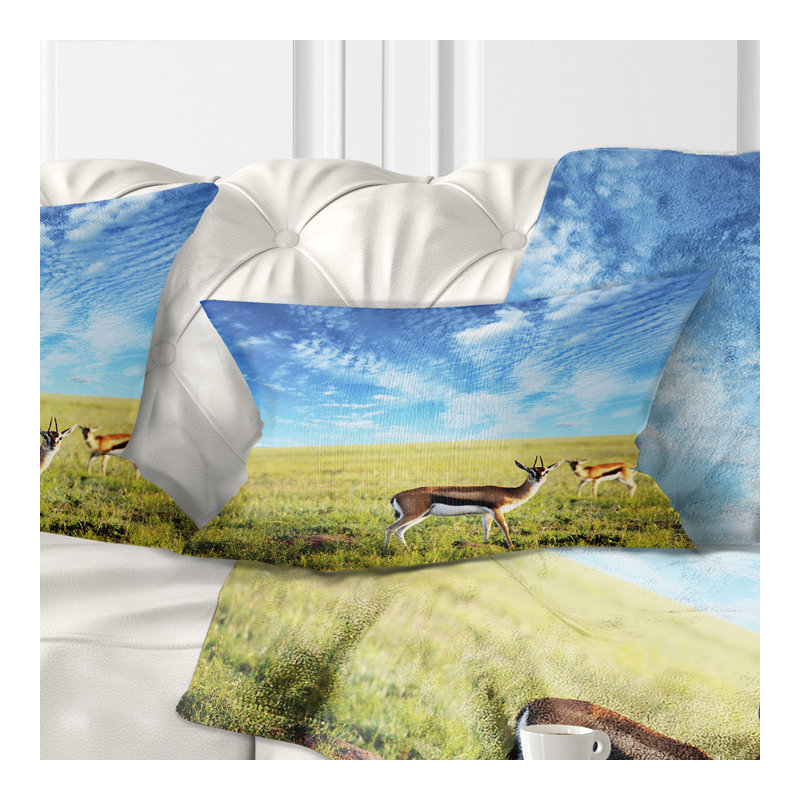Coussin lombaire en antelopess africaines sous le ciel lumineux