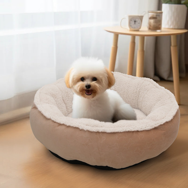 Coussin de lit Lisette, Petit (l 23,5 po x P 23,5 po x H 9 po), Beige